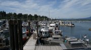 DSC00006