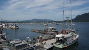 DSC00007
