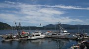 DSC00008