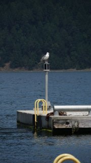 DSC00049