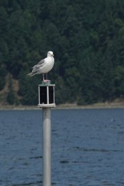 DSC00055