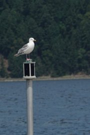 DSC00056