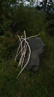 DSC00003