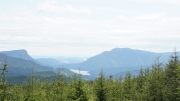 DSC00008