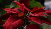 DSC00018
