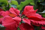 DSC00020