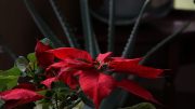 DSC00025