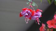 DSC00027