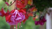 DSC00029